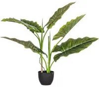 4x Pianta Dieffenbachia C-Vaso 7Foglie H78