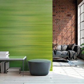 Fotomurale  Raffia , multicolor 371 x 280 cm