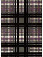 Designers Guild Carta da parati Chennai - Chocolate
