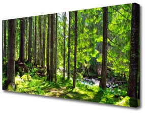 Quadro su tela Foresta, alberi, piante, natura 100x50 cm