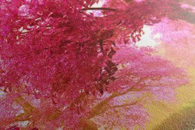 Quadro su tela – Magici alberi di ciliegio in fiore