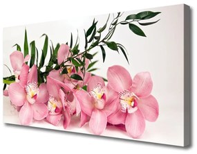 Stampa quadro su tela Terme di fiori di orchidea 100x50 cm