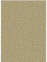 Cole & Son Carta da parati Senzo Spot - Olive/ Gold