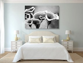 Quadro su tela – Eleganti fiori di calla in bianco e nero
