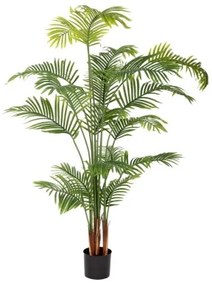 Pianta Decorativa Poliuretano Cemento Areca 150 cm