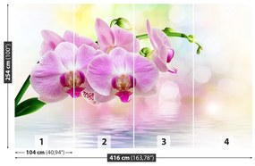 Carta da parati Rose di orchidea 104x70 cm
