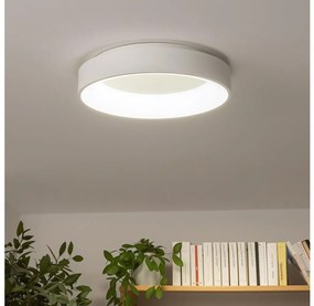 Brilagi - Plafoniera LED dimmerabile FALCON LED/40W/230V 3000-6500K + tc