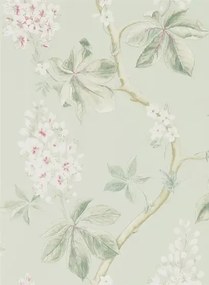 Tapete Chestnut Tree von Sanderson - Seaspray/ Peony