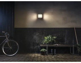 Philips 17273/93/16 - Illuminazione LED da esterno MYGARDEN RACCOON 1xLED/3W/230V IP44