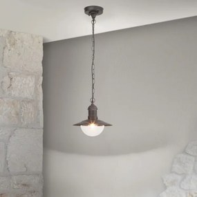 Brilagi - Lampada sospesa per esterni MOLDE 1xE27/60W IP44 nera