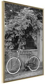 Poster  Bicycle with White Tires  Cornice Quadri Cornice d'oro, Larghezza x Altezza Home decor 20x30