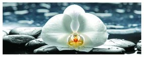 Stampa su tela White Orchid, multicolore 60 x 160 cm