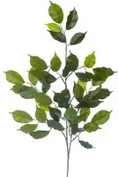 Set 12 Rami di Ficus Artificiale con 42 Foglie Altezza 60 cm Verde