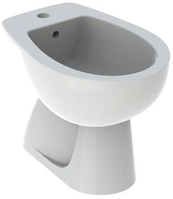 Bidet distanziato Colibri GEBERIT L 36 x H 39 x P 53 cm bianco