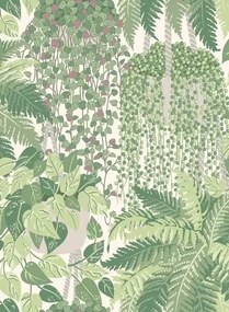 Pflanzen Tapete Fern von Cole and Son - Green