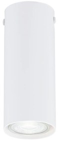Plafoniera Moderna Faretto Marduk 1 Luce Acciaio Bianco 15 Cm
