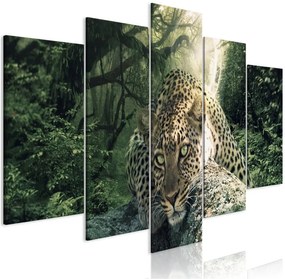 Quadro  Leopard Lying (5 Parts) Wide Pale Green  Colore Arancione, Dimensioni e Misure 100x50