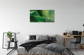 Quadro di vetro Macro gocce d'erba 100x50 cm 2 appendini
