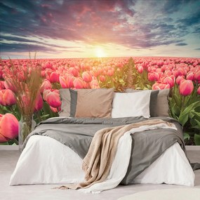 Carta da parati – Alba su prato con tulipani