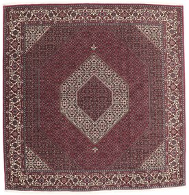 Bidjar Tappeto persiano 260 x 250 (Iran) Annodato A Mano