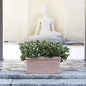 Fioriera Liscia in terracotta terracotta H 44 x L 100 x P 45 cm