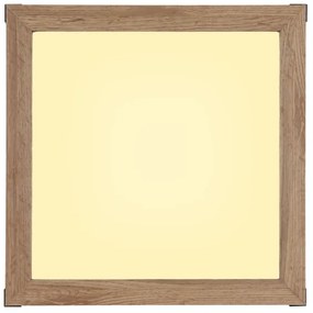 Globo 41589D1 - Plafoniera LED CARLA LED/12W/230V 30x30 cm