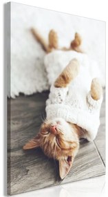 Quadro  Lazy Cat (1 Part) Vertical  Larghezza x Altezza Home decor 40x60