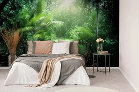 Carta da parati autoadesiva – Sentiero sull'isola Seychelles