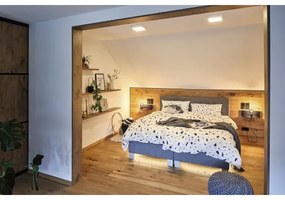 Paulmann 79801 - Plafoniera LED/13W CARPO 230V 2300/2500/3000K