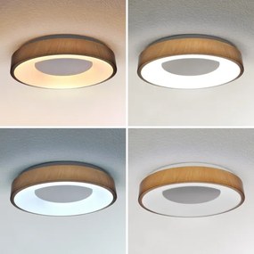 Brilagi - Lampada LED da soffitto dimmerabile DORIA LED/48W/230V 3000-6500K + DO