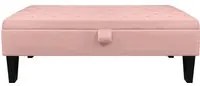 Divanetto In Velluto Panca Contenitore Pouf PortaOggetti Panca Sgabello A Pie Di Letto Cassapanca Ingresso Legno Massello Panchina - Rosa