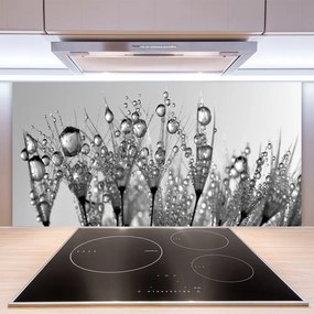 Pannello paraschizzi cucina Astrazione di piante naturali 100x50 cm