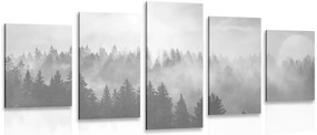 Quadri 5 pezzi – Nebbia sulla foresta in bianco e nero