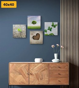 Set di quadri – Angolo unico della natura