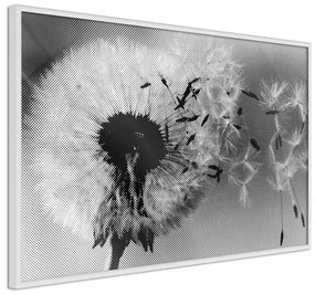 Poster Dandelion in the Wind