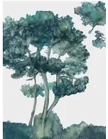 Tenue de Ville Wandbild Canopy - Forest