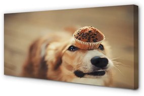 Quadro su tela Cupcake per cani 100x50 cm