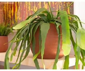 Vaso in ceramica fatto a mano ø 16 cm Aura - Artevasi