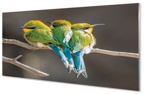 Quadro acrilico Uccelli sul ramo 100x50 cm