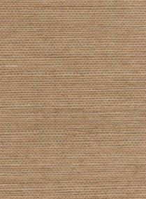 Élitis Tapete Sisal - RM 1069 04