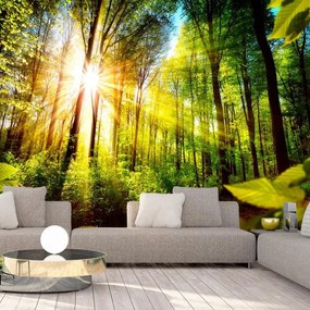 Fotomurale adesivo  Forest Hideout  Larghezza x Altezza Home decor 294x210