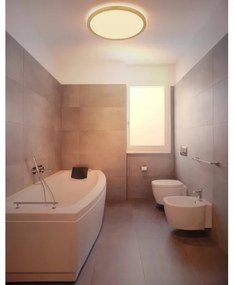 Globo 41562-24MM -Plafoniera LED dimmerabile da bagno SAPANA LED/24W/230V IP44