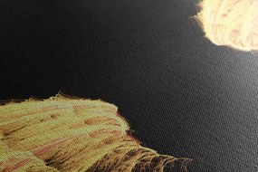 Stampa su tela – Ali d'angelo dorate