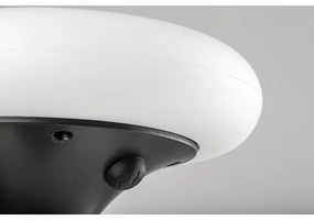 Rabalux 7069 - LED RGB Luce solare HAITI LED/0,6W/3,7V IP65