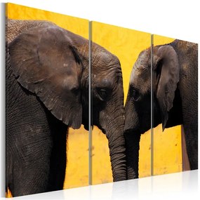 Quadro Coppia di elefanti che si bacia