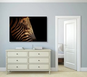Stampa su tela – Ritratto di zebra