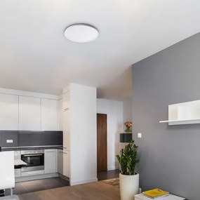 Rabalux 3428 - Plafoniera LED dimmerabile PAVEL LED/22W/230V