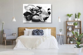 Quadro su tela – Bella armonia di pietre e orchidee in bianco e nero