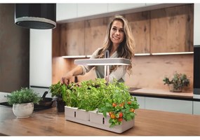 Ledvance - Lampada da interni a LED GARDEN KIT LED/24W/230V