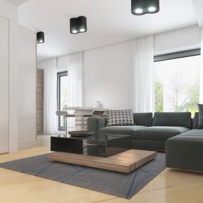 Faretto HADAR 2xGU10/10W/230V nero